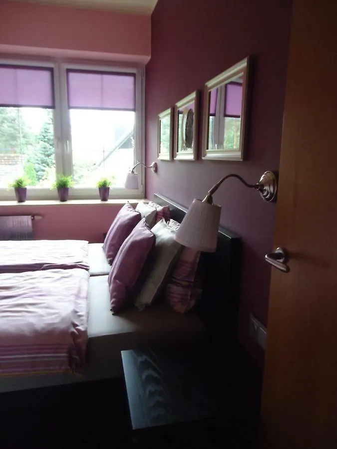 Apartment Kaszubiana Direkt In Der Natur Sulmin